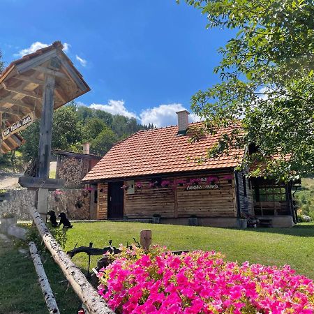 Konak Mandica Avlija Zaovine Екстер'єр фото